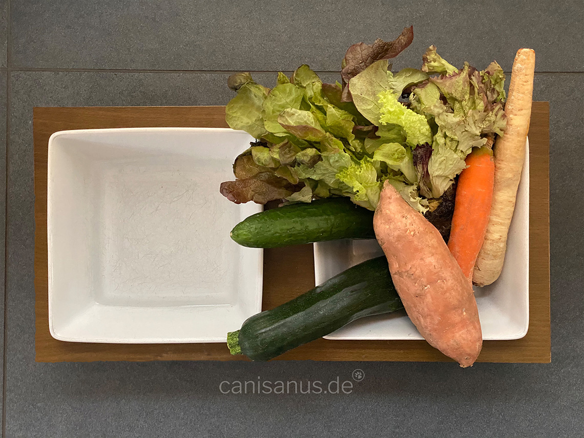 Gemüse für den Hund – Was man bei der Fütterung beachten sollte!